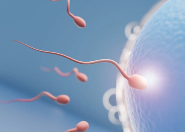 İnfertilite